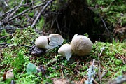 IMG_0926