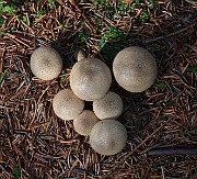 IMG_6216