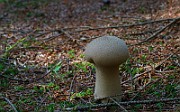 IMG_6220