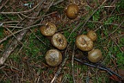 IMG_9331