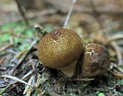 IMG_9935