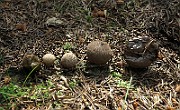 IMG_9948