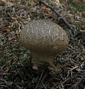 IMG_9966
