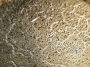 IMG_9967