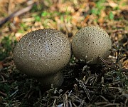 IMG_9968