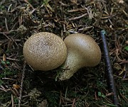 IMG_9970
