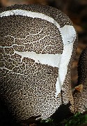 IMG_2122