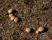 IMG_1029