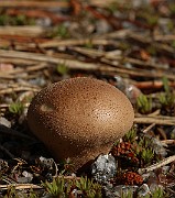 IMG_1036