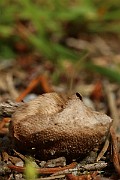 IMG_1041