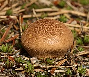 IMG_1081