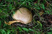 IMG_1800