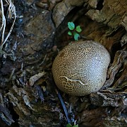 IMG_1980