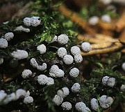 IMG_9938
