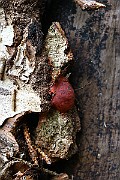 IMG_2215