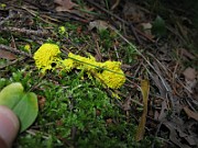 IMG_3320