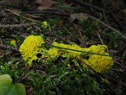 IMG_3321