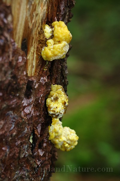 IMG_2147.JPG