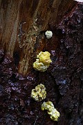 IMG_2142