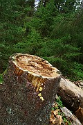IMG_2144