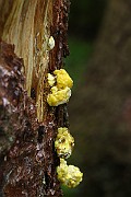 IMG_2145