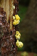 IMG_2146