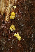 IMG_2150