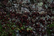 IMG_2169