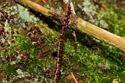IMG_2180