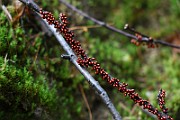 IMG_9188