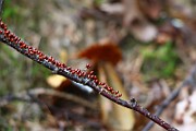 IMG_9189