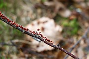 IMG_9190