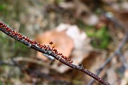 IMG_9191