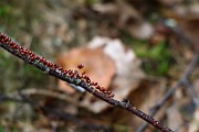 IMG_9192