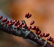 IMG_9193