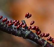 IMG_9193s
