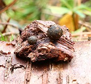 IMG_0843