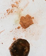 IMG_0898