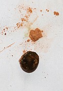 IMG_0898b