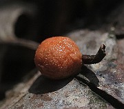 IMG_1108