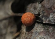 IMG_1111