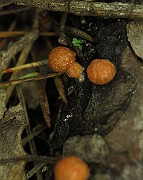 IMG_1114