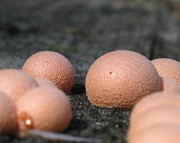 IMG_5478