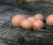 IMG_5480