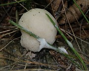 IMG_0061