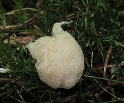 IMG_0064