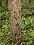 IMG_7741