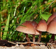 IMG_3747