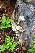IMG_2227