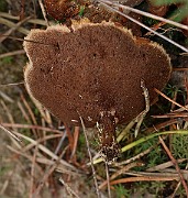 IMG_0622